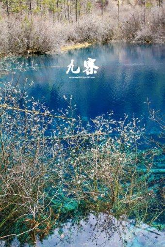 探寻男人的精神出轨和身体出轨，哪个更让老婆难以容忍？，发现知识星球的精彩世界！